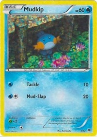 Mudkip 005/012