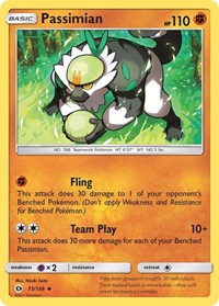 Passimian 73/149 · Reverse Holo