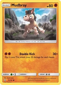 Mudbray 75/145 · Reverse Holo
