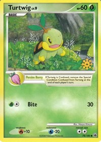 Turtwig 078/100