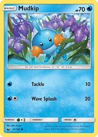 Mudkip 33/168 · Reverse Holo