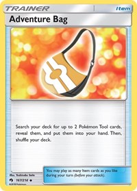 Adventure Bag 167/214 Lost Thunder Reverse Holo Pokémon card