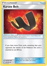 Karate Belt 201/236 Unified Minds Reverse Holo Pokémon card