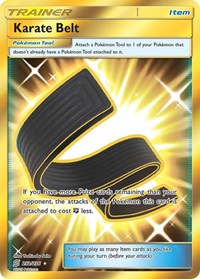 Karate Belt Secret 252/236 Unified Minds Pokémon card