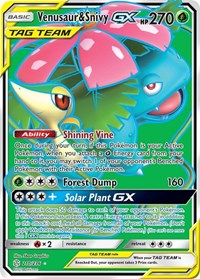 Venusaur & Snivy GX Full Art 210/236
