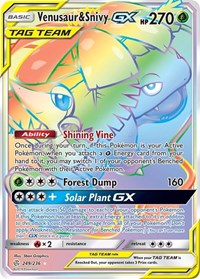 Venusaur & Snivy GX Secret 249/236