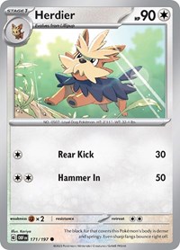 Herdier 171/197 · Reverse Holo