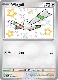 Wingull 203/091