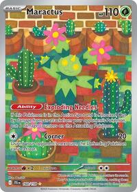 Maractus 160/159
