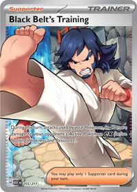 Black Belt's Training 255/217 Ascended Heroes Pokémon card