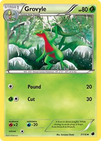 Grovyle 7/116 · Reverse Holo