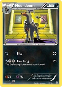 Houndoom 75/124