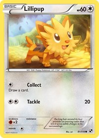 Lillipup 81/114 · Reverse Holo