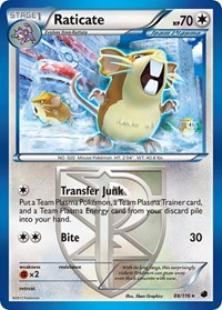 Raticate (Team Plasma) 88/116 · Reverse Holo