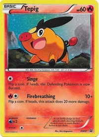 Tepig BW07