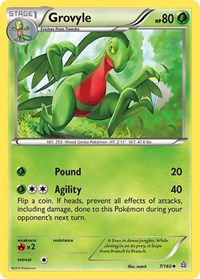 Grovyle 7/160 · Reverse Holo