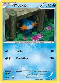 Mudkip 33/160 · Reverse Holo