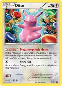 Ditto XY40