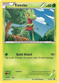 Treecko XY36