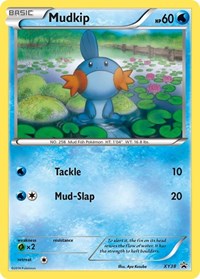 Mudkip XY38