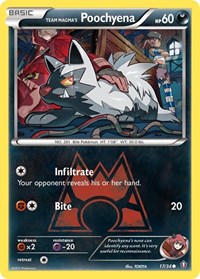 Team Magma's Poochyena 17/34 · Reverse Holo